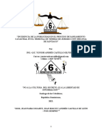 Incidencia de La Publicidad en El Proceso de Saneamiento Catastral en El Tribunal de Tierras de Jurisdicción Original de Santiago