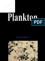 GK12 Fifth PlanktonDiversityPPT