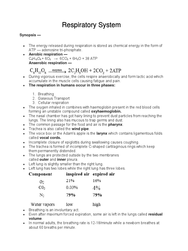 Selina Concise Biology Solutions Class 6 Chapter 5 Respiratory System ...