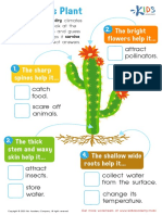 grade-1-the-cactus-plant-worksheet