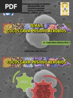 Download TEMA 4 Enterococcus by lilianagomezgamboa SN57110403 doc pdf