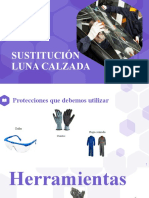 Sustitución Luna Calzada
