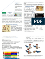 Actuacion en Casos de Emergencias (Terremoto, Incendio, Primeros Auxilios)