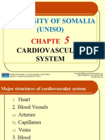 University of Somalia (Uniso) : Chapte