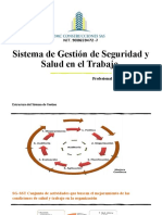 Sistema de Gestión de Seguridad y Salud En