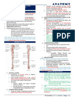 6.05 Leg - Neurovascular Structures