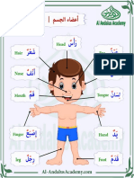 Body Parts in Arabic