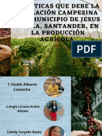 Diapositivas Buenas Practicas Agricolas