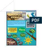 Reserva Nacional de Paracas: Mas de 250 Especies de Algas