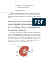 Laporan Pendahuluan CKD