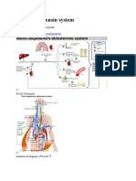 Renin-Angiotensin System: Navigation Search