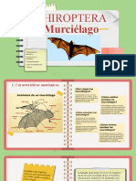 Presentacion Murcielago