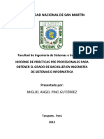 Informe de Practicas Pre Profesionales DRTC Final