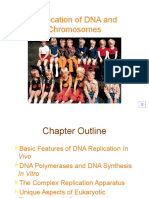 Topic 2 - Replication of DNA