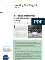 Forestry Briefing 14: The Implications of Carbon Financing For Pro-Poor Community Forestry