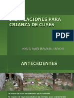 Instalaciones para crianza de cuyes