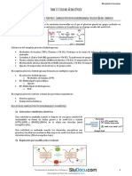 Bioquimica Tema 15 Ciclo Acido Citrico