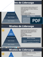 Niveles de Liderazgo