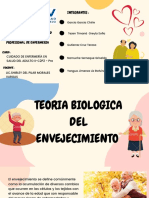 08.04.22 Teoria Biologica Del Envejecimiento Tarea de Pratica