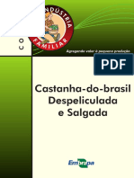 AGROIND-FAM-Castanha-brasil-despel-salgada-ed01-2009