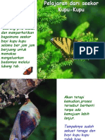 A Lesson From Butterfly (Pelajaran Dari Seekor Kupu2)