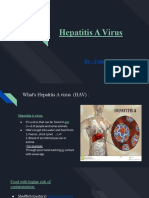 Hepatitis A Virus 