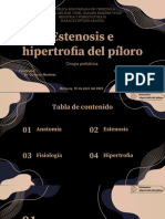 Hipertrofia y Estenosis de Piloro