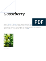 Gooseberry: / Ɡu Sbɛri/ / Ɡu Zbɛri/ / Ɡʊzbəri/ Ribes Currants