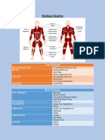 Workout Routine