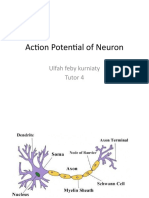 Action Potential of Neuron