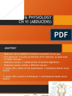 Anat & Physiology CN VI