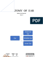 Anatomy of Ear