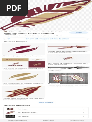 fsu feather - Google Search