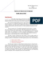 Punam Jaiswal UG-III Mechanism of Photosynthesis (Dark Reaction) C3 Cycle