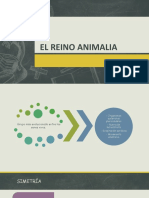 Clase 4 - 1-2 Secundaria - Zoología