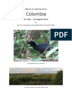 Birds - Colombia Meijer 2014