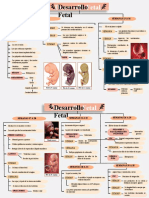 Resumen Desarrollo Fetal