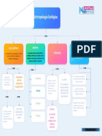 Antropologia Ecologica Mapa Conceptual