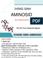 4 Khang Sinh Aminosid
