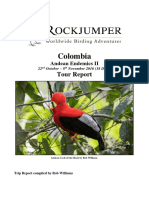 Colombia Andean Endemics II Trip Report Summary