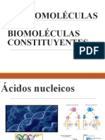 Macromoléculas Ot