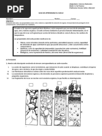Guias Unidad Capas de La Tierra 6 Suelo