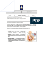 Stma Respiratorio