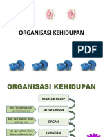 Organisasi Kehidupan