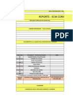 Reporte de Pyv (2)