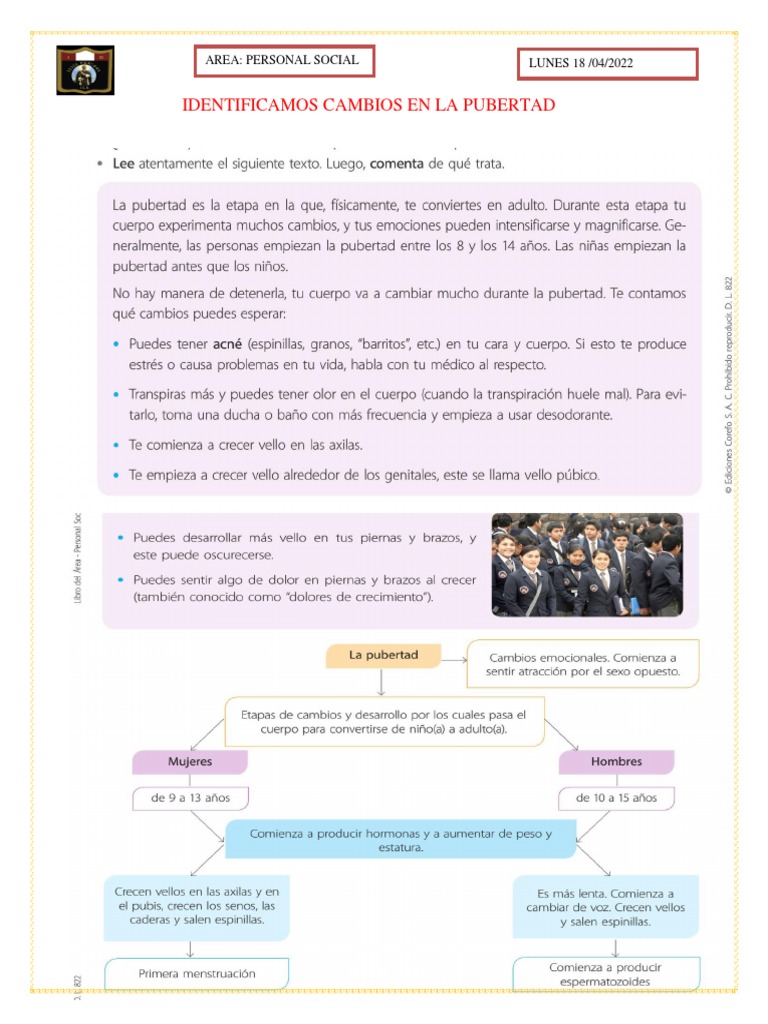 Cambios en la Pubertad: Ficha Informativa | PDF | Negocios | Ciencias ...