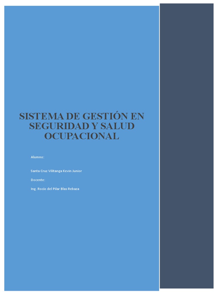 Sistema de Gestión Seguridad y Salud Ocupacional | PDF | Seguridad y ...