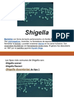 Bacteria Shigella