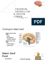 Kuliah Anatomi Blok 6. Cerebrum, Cerebellum Dan Sistem Limbik (Dr. Reni Oktavina, M.biomed) - Dikonversi