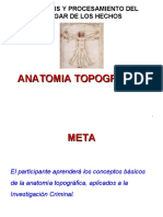 Tema 12 Anatomia Topografica - 20072021